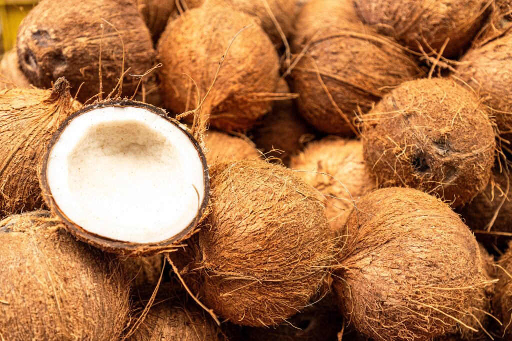 Lait de coco avec des noix de coco ouvertes