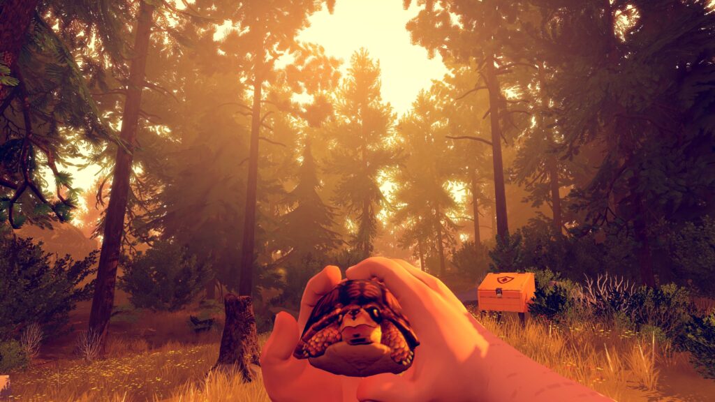 Jeux virtuels solo face à la nature sauvage