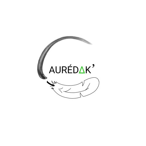 Auredak blog de jeux vidéo, tests, actualités gaming et jeux de société